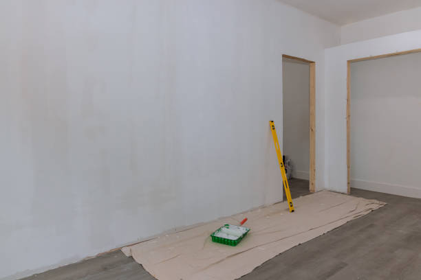 Best Drywall Removal and Disposal  in Hereford, TX